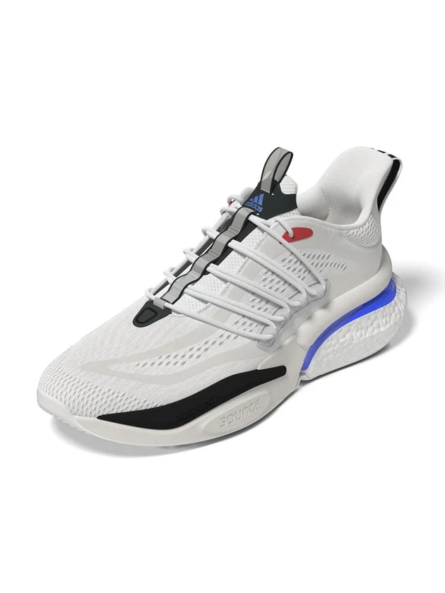 Alphaboost V1