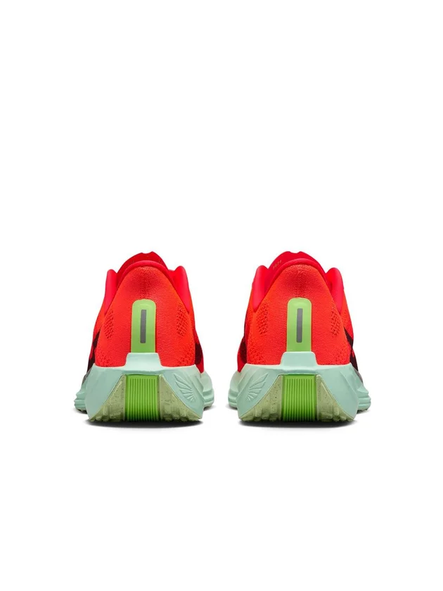 Pegasus Plus
