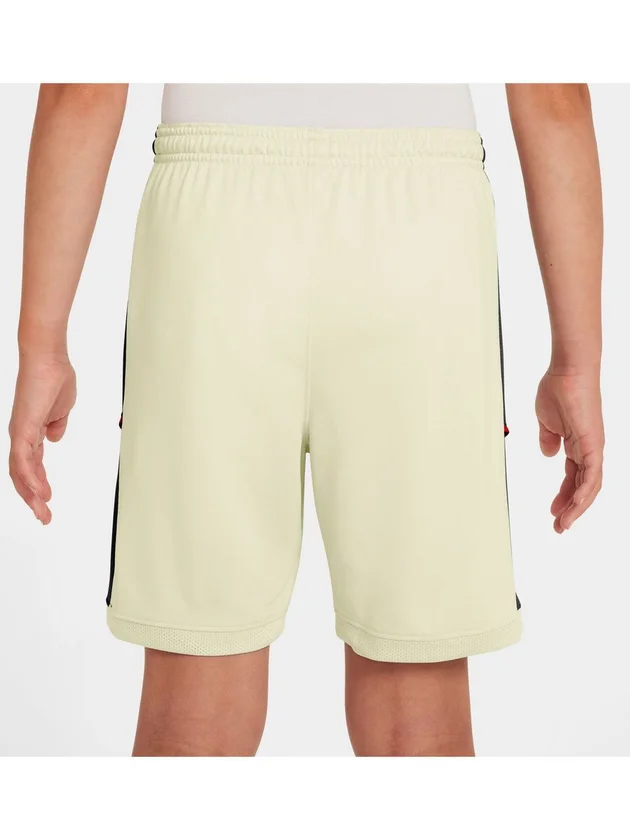 Dri-FIT Academy Short 7in