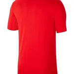 UNIVERSITY RED/WHITE