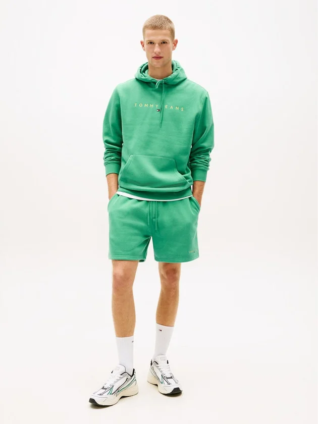 Reg Linear Logo Hoodie Ext