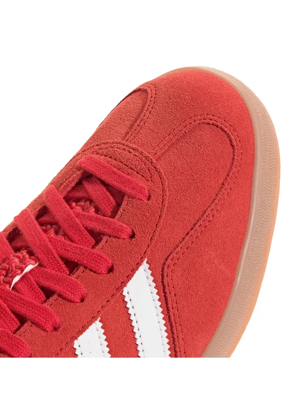 Gazelle Indoor