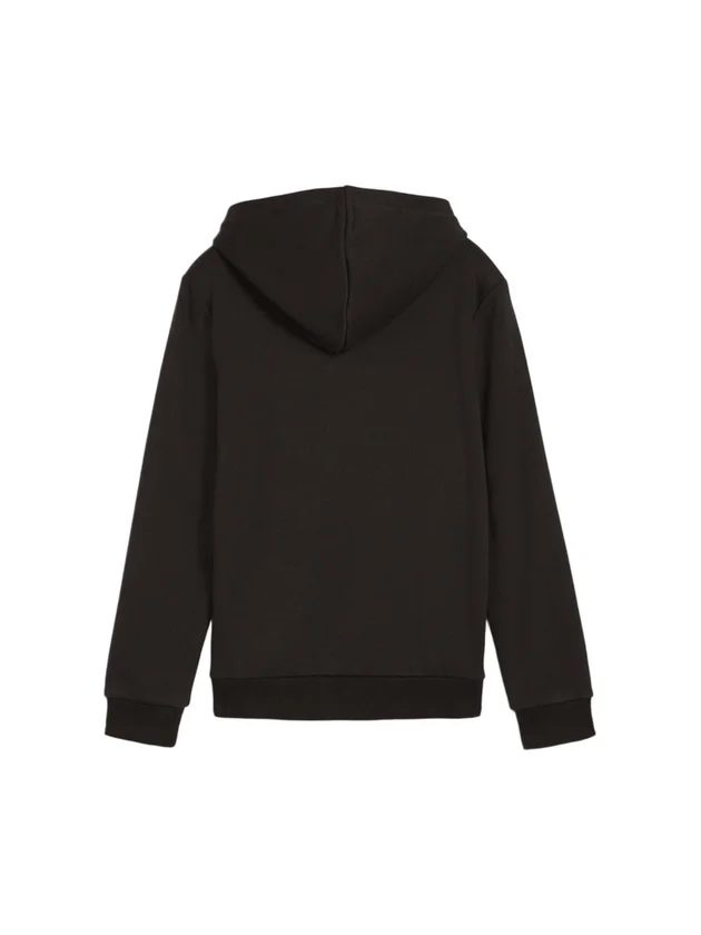 Ess+ Logo Lab Hoodie