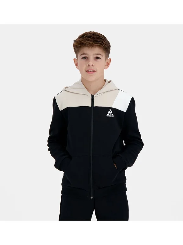 Graphique Fz Hoody N1