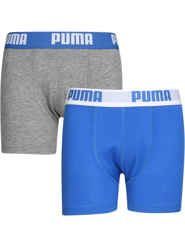 Basic Boxer 2P