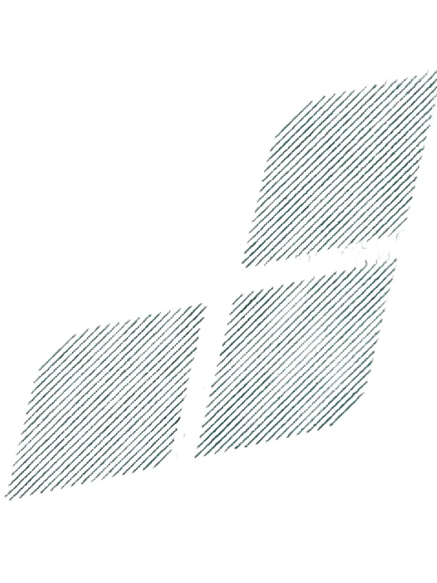 Beach Boxer Logo