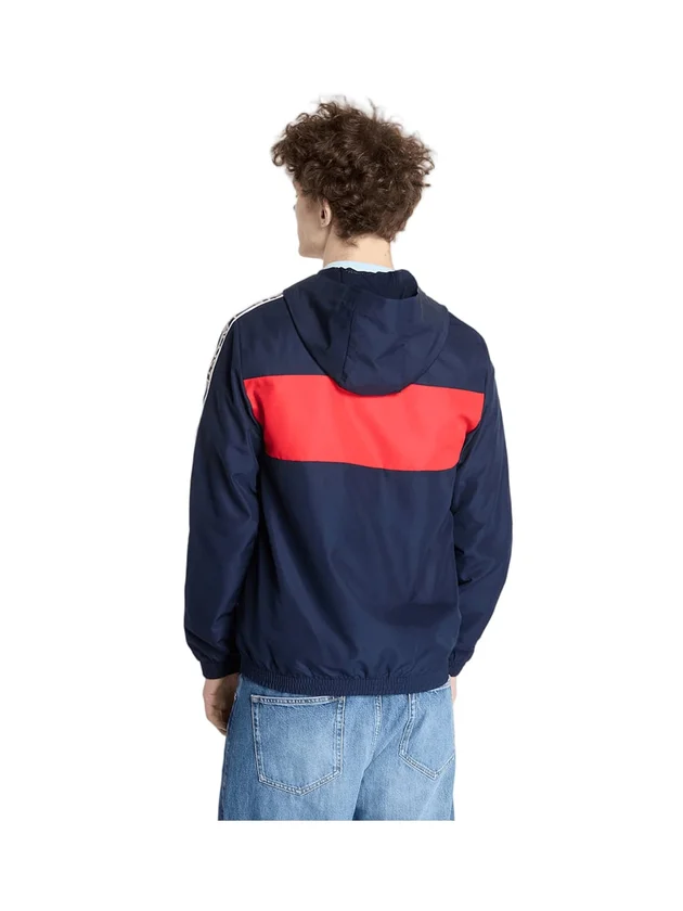 Technical Capsule