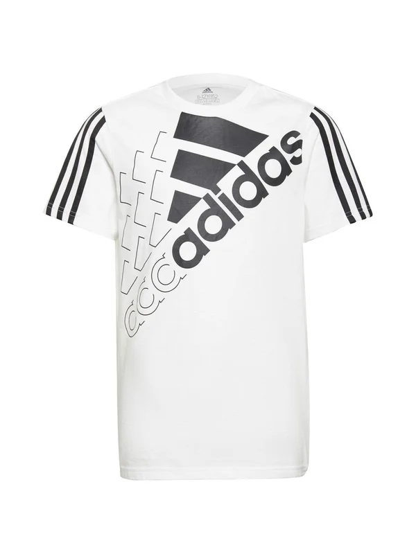 B Logo T1