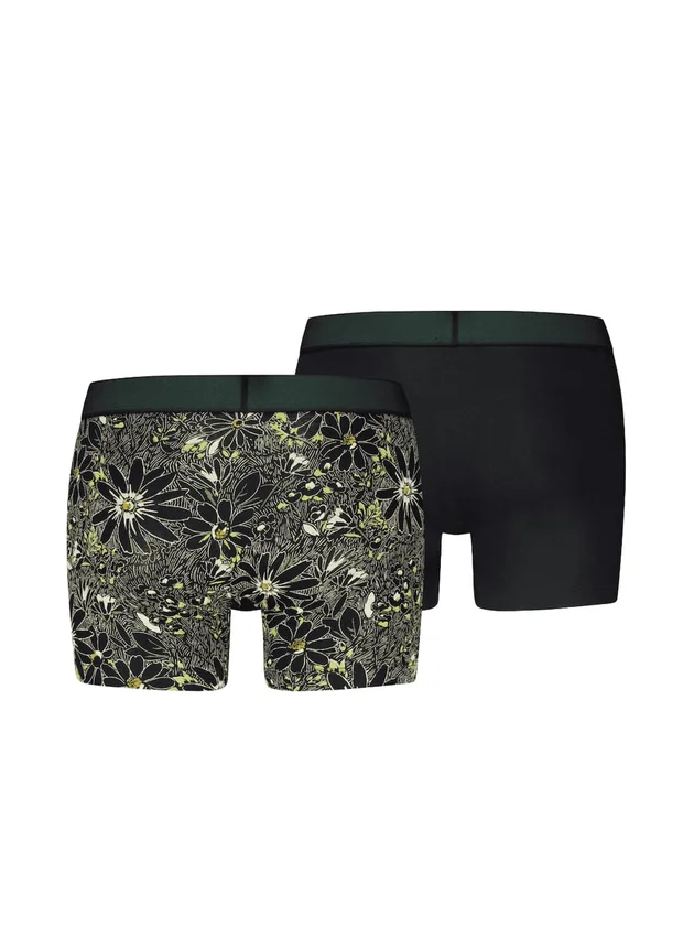 Hatch Flwr AOP Boxer Brief 2P