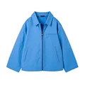 Vestes