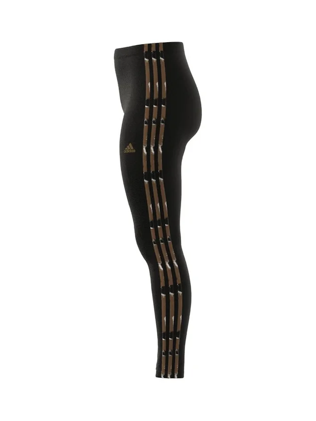 Anml Leg