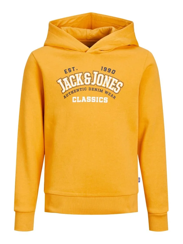 JJElogo Sweat Hood 2 Col 22/23 Noos