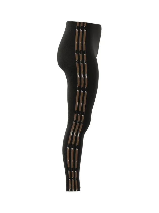 Anml Leg