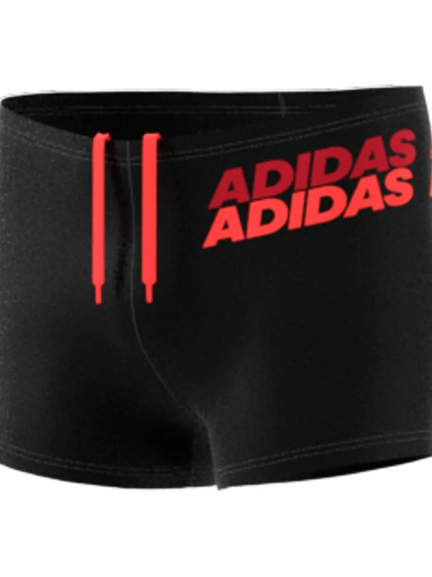 Lin Brief