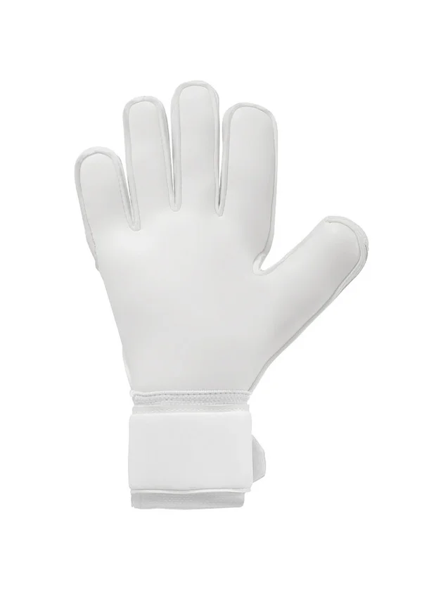 Absolutgrip