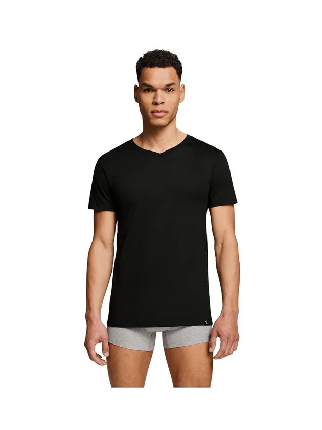 Everyday V Neck Tee 2P