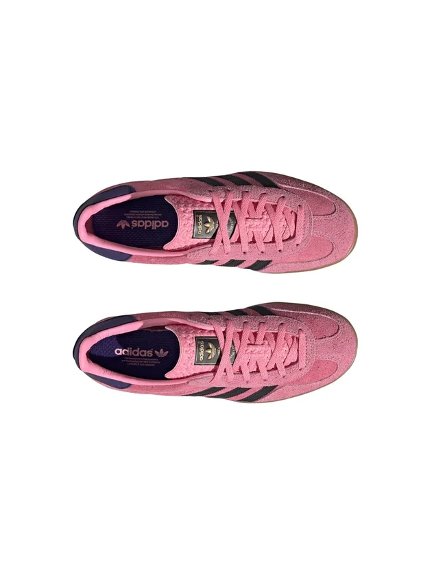 Gazelle Indoor