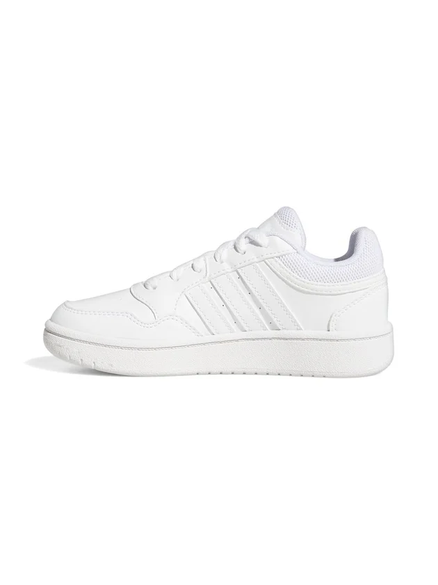 Hoops 3.0