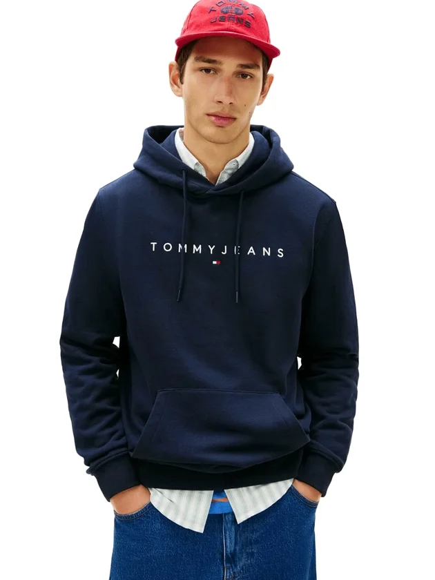 Reg Linear Logo Hoodie Ext