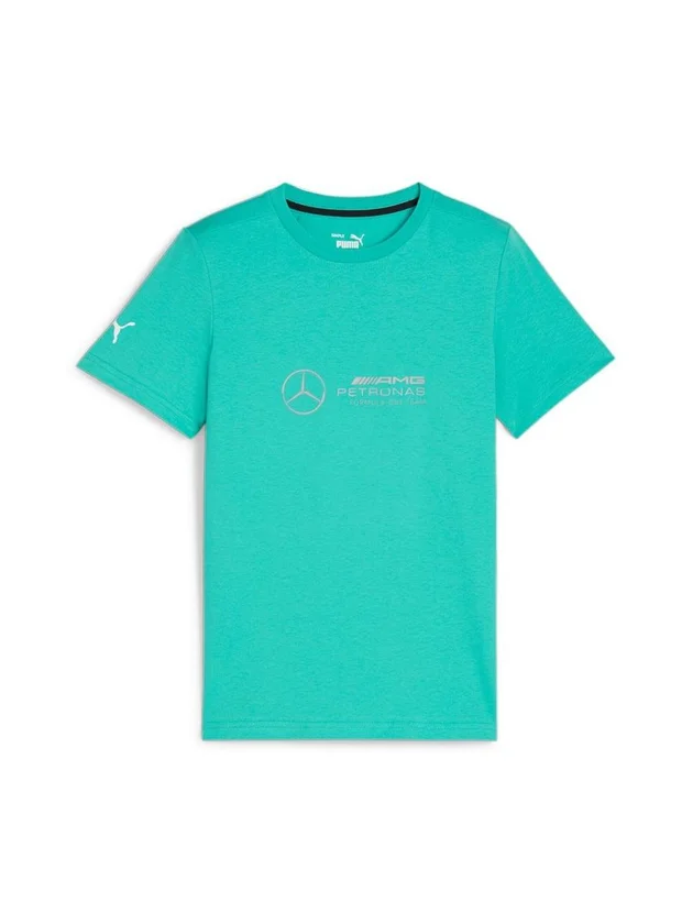 B Mapf1 Log Tee