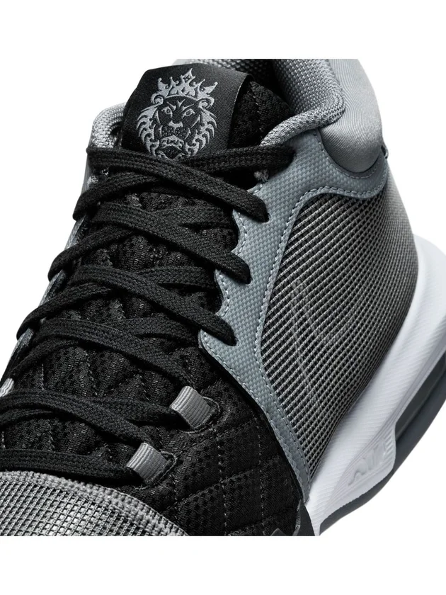 Lebron Witness VIII