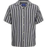 SKY CAPTAIN / STRIPES