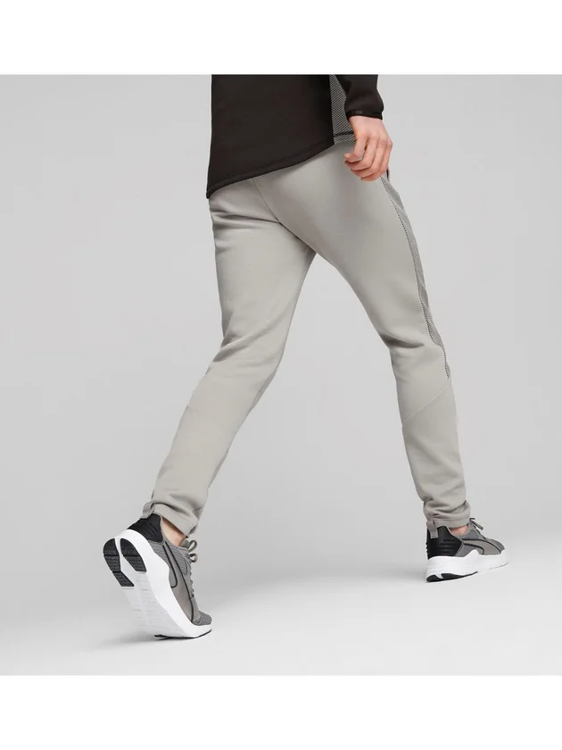 Evostripe Pant DK