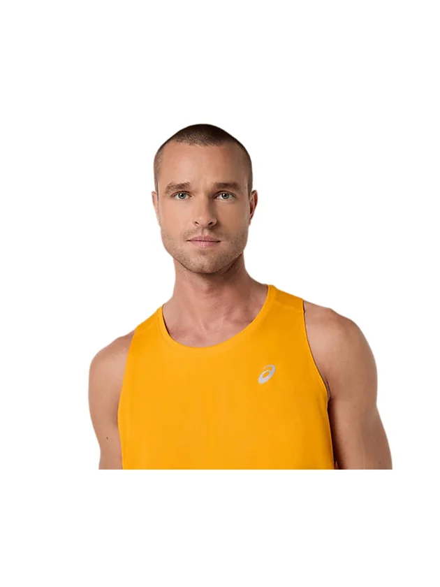 Core Singlet