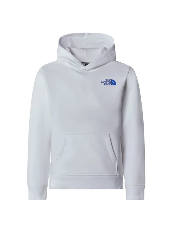 Teen Box Nse Regular Hoodie