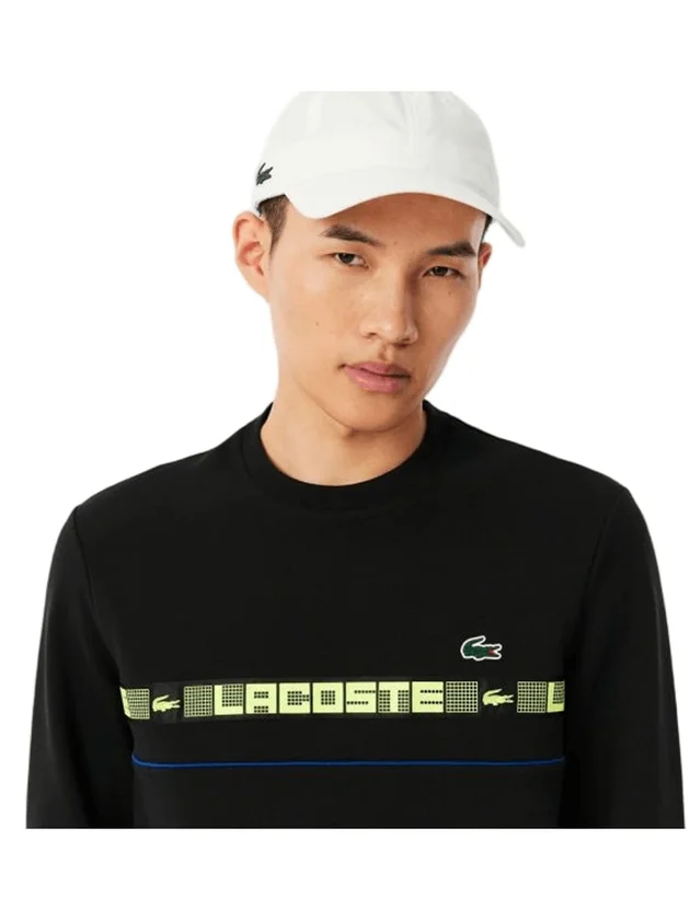 Technical Capsule