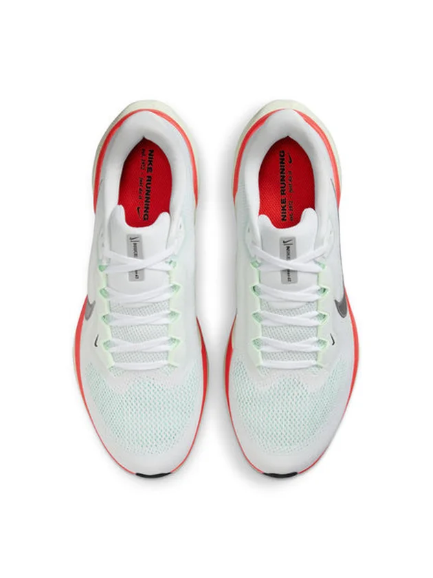 Air Zoom Pegasus 41