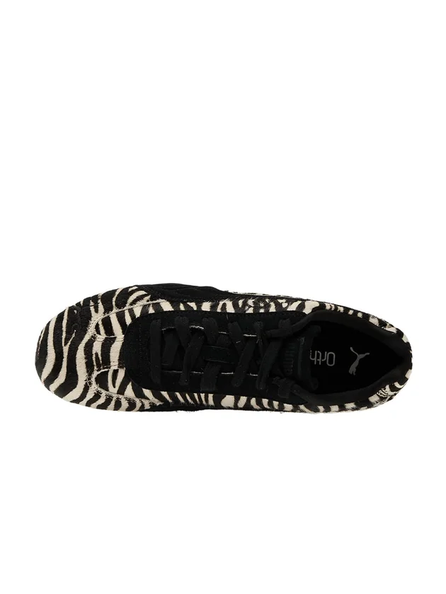 Speedcat Zebra