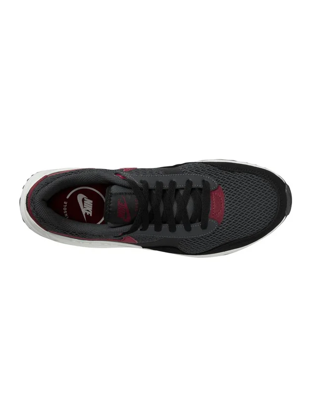 Air Max Systm