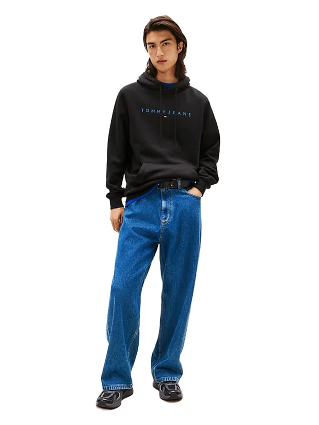 Reg Linear Logo Hoodie Ext