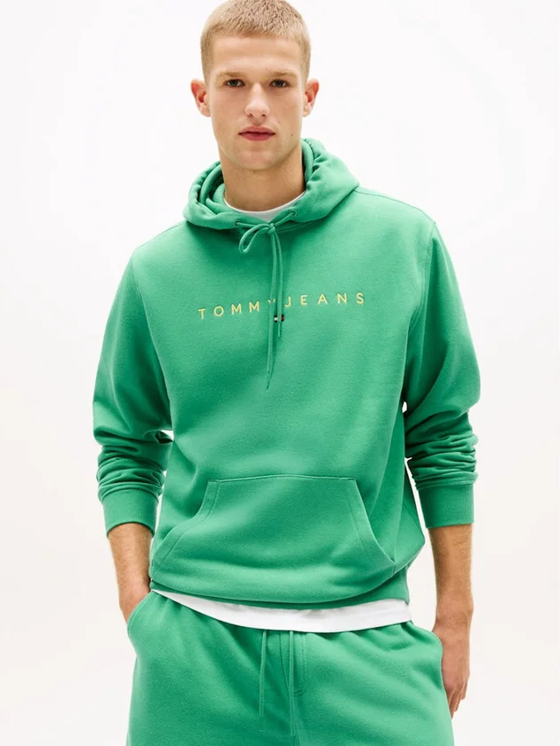 Reg Linear Logo Hoodie Ext