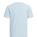 CELESTIAL BLUE / PRINT:SMALL PRINT