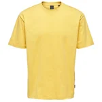 OCHRE