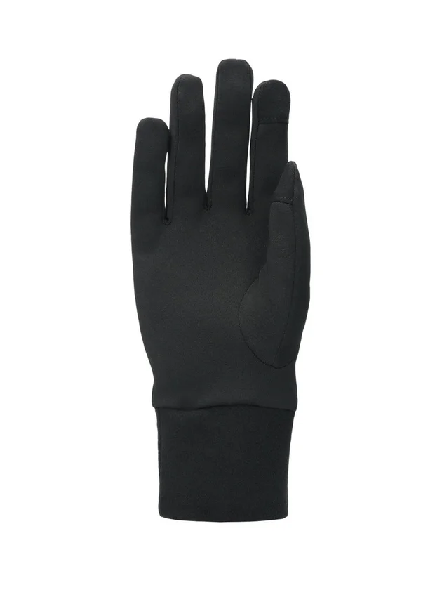 Winter Glove