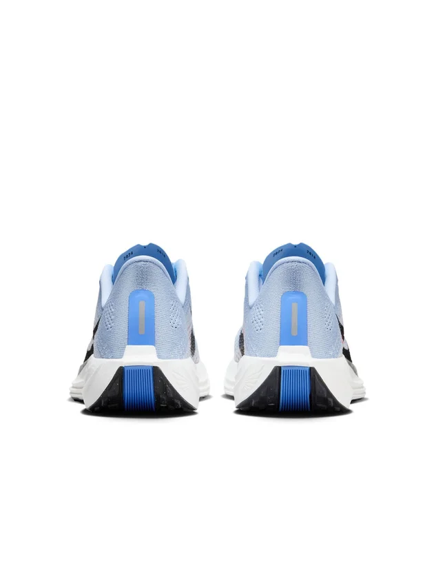 Pegasus Plus