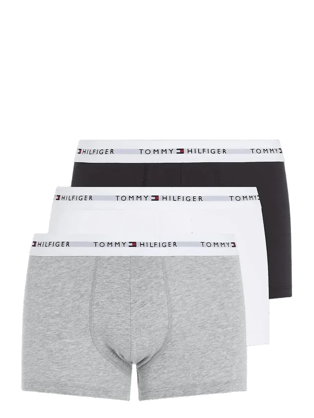 3P Trunk
