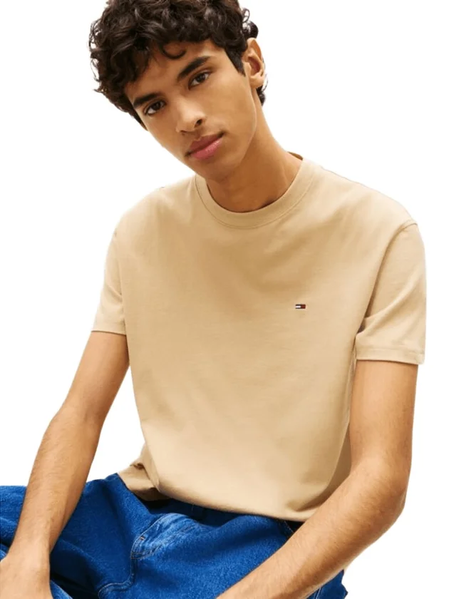 Tjm Reg Sflag Ss Tee