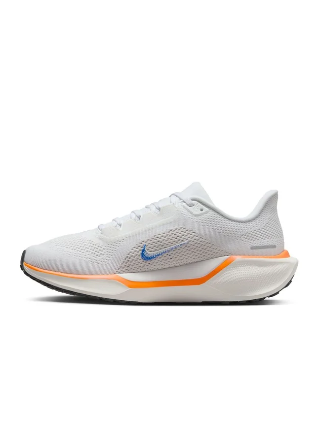 Air Zoom Pegasus 41 FP