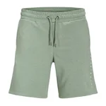 ICEBERG GREEN