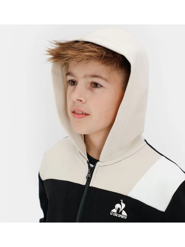 Graphique Fz Hoody N1