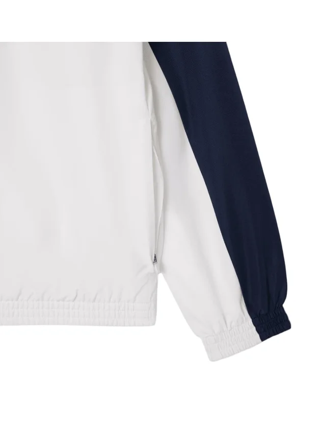 Technical Capsule