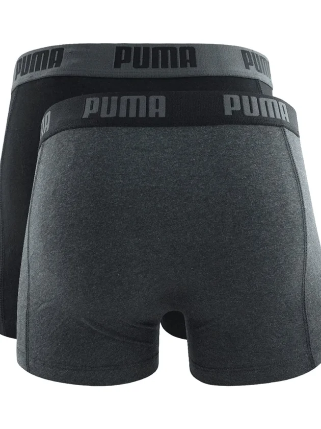 Basic Boxer 2P