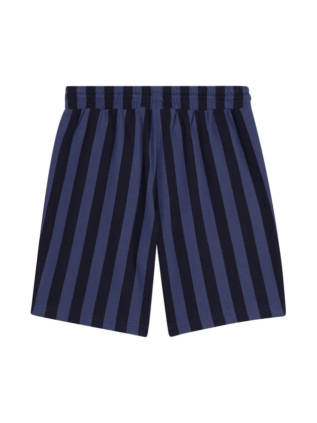 Class 8 Shorts