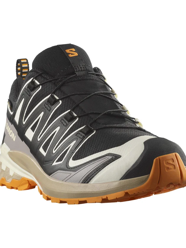Xa Pro 3D V9 Gore-Tex