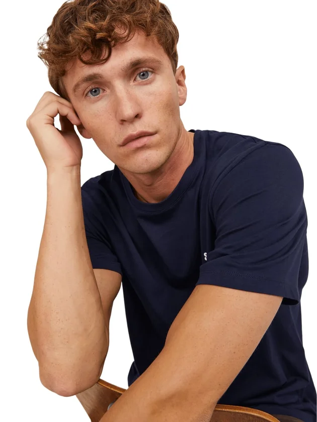 Jjepaulos Tee Ss Crew Neck Noos