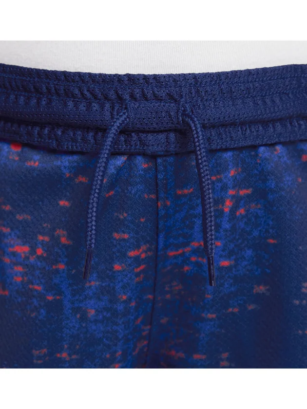 France Replica Stadium Dri-FIT Domicile